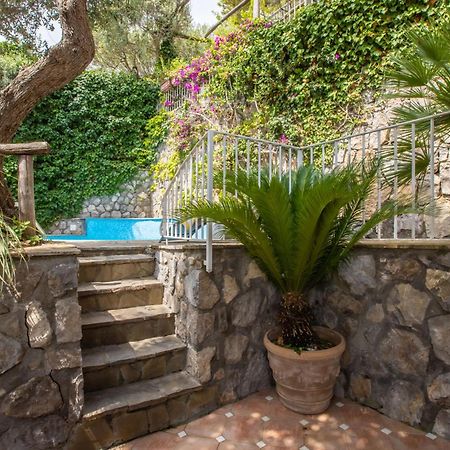 Villa Rita Apartments Massa Lubrense Εξωτερικό φωτογραφία