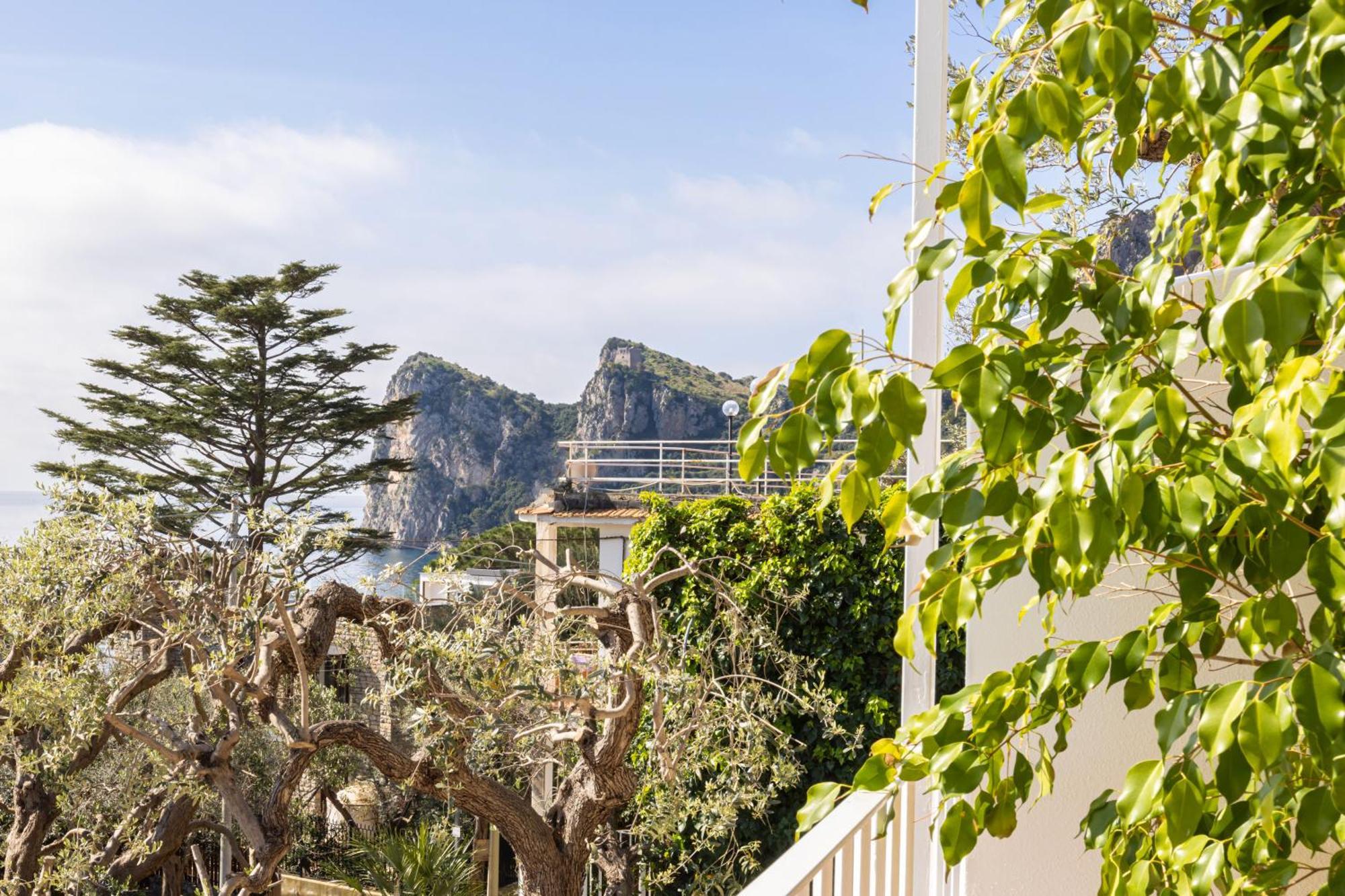 Villa Rita Apartments Massa Lubrense Εξωτερικό φωτογραφία